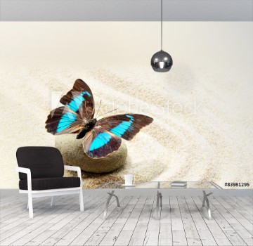 Picture of Butterfly Prepona Laerte on the sand